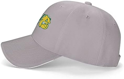 לוגו של אוניברסיטת וילברפורס כובע כובע יוניסקס קלאסי בייסבול קפניסקס כובע אבא Casquette מתכוונן