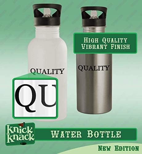 מתנות Knick Knack Media - בקבוק מים מפלדת אל חלד 20oz, כסף