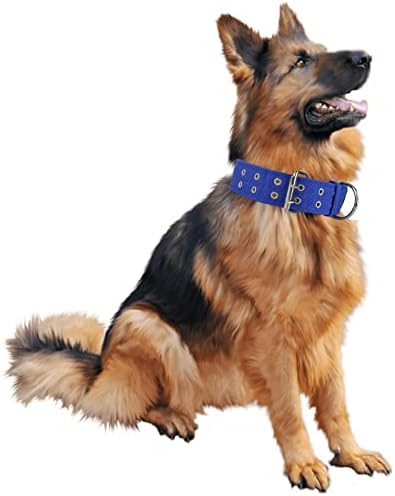 צווארון כלבים מתכוונן צבאי, טבעת D רחב 1.5 'טבעת דו-שורות צווארון כלבים, צווארון כלבים טקטי ניילון ירוק